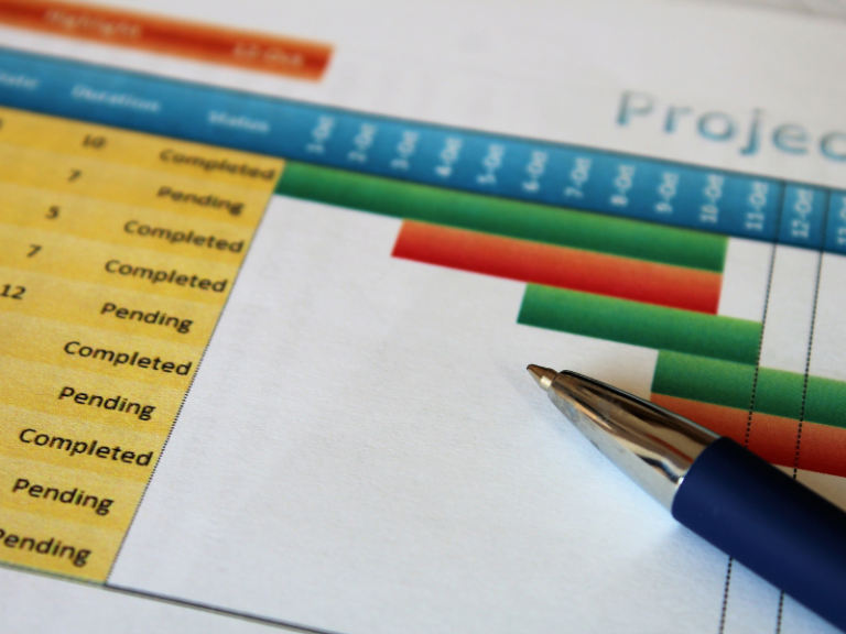 Carta Gantt de proyecto tecnológico con tareas completadas y pendientes en empresa chilena