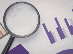 Lupa sobre reportes impresos de gráficos de barras: análisis comparativo de datos